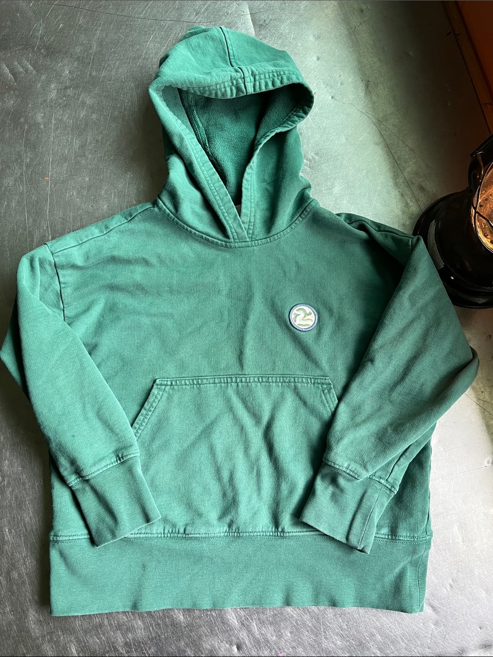 Patagonia kids hoodie
